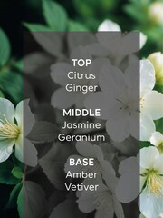 Collection Luxe New York Moonlight Citrus Ginger 85ml Fragranced Reed Diffuser Duo - Image 4 of 4