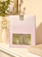 Collection Luxe Antigua Mango & Papaya 85ml Fragranced Reed Diffuser Duo - Image 1 of 4