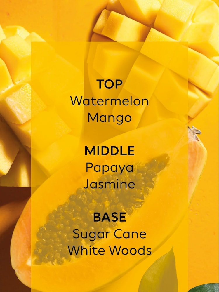 Collection Luxe Antigua Mango & Papaya 85ml Fragranced Reed Diffuser Duo - Image 4 of 4