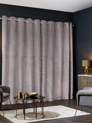 Blush Pink Next Collection Luxe Heavyweight Maeve Damask Velvet Eyelet Lined Curtains - Image 2 of 5