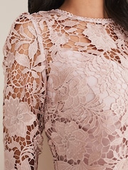 Phase Eight Pink Petite Petite Adeline Double Layer Dress - Image 5 of 6