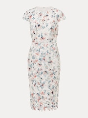 Phase Eight Cream Petite Franky Floral Lace Dress - Image 6 of 6