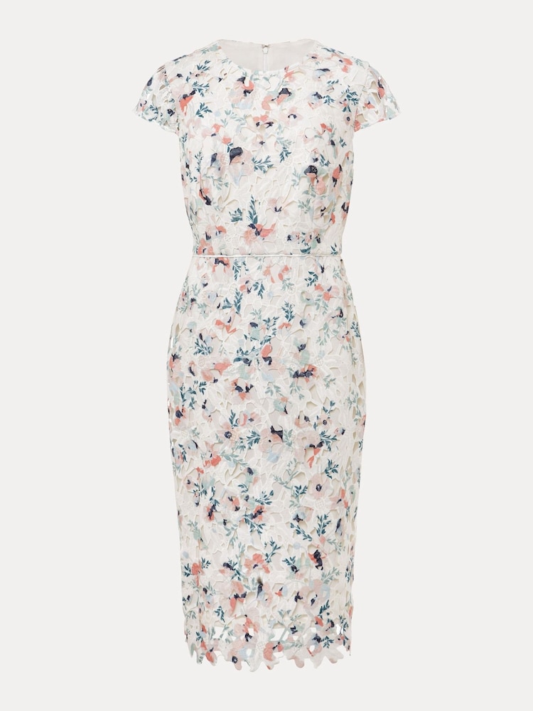 Phase Eight Cream Petite Franky Floral Lace Dress - Image 6 of 6 Phase Eight Cream Petite Franky Floral Lace Dress - Image 6 of 6