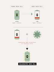 Pai Skincare Age Confidence™ NAD+ TriPeptide Renewal Serum - Image 7 of 7