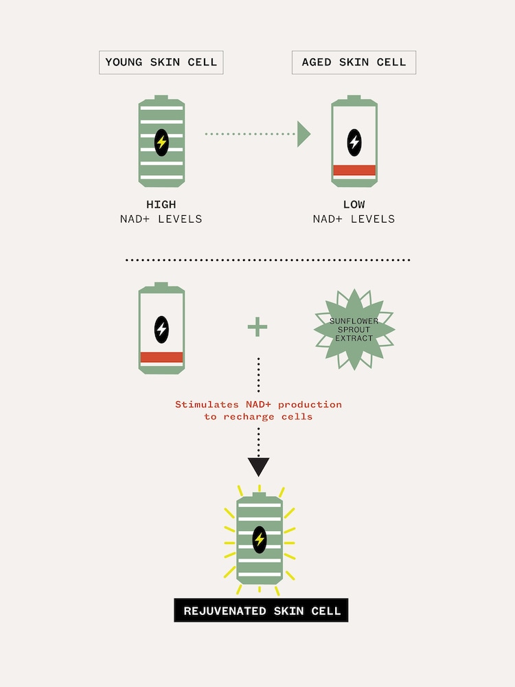 Pai Skincare Age Confidence™ NAD+ TriPeptide Renewal Serum - Image 7 of 7