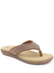 Pavers Bronze Embellished Toe Post Sandals - Image 1 of 5