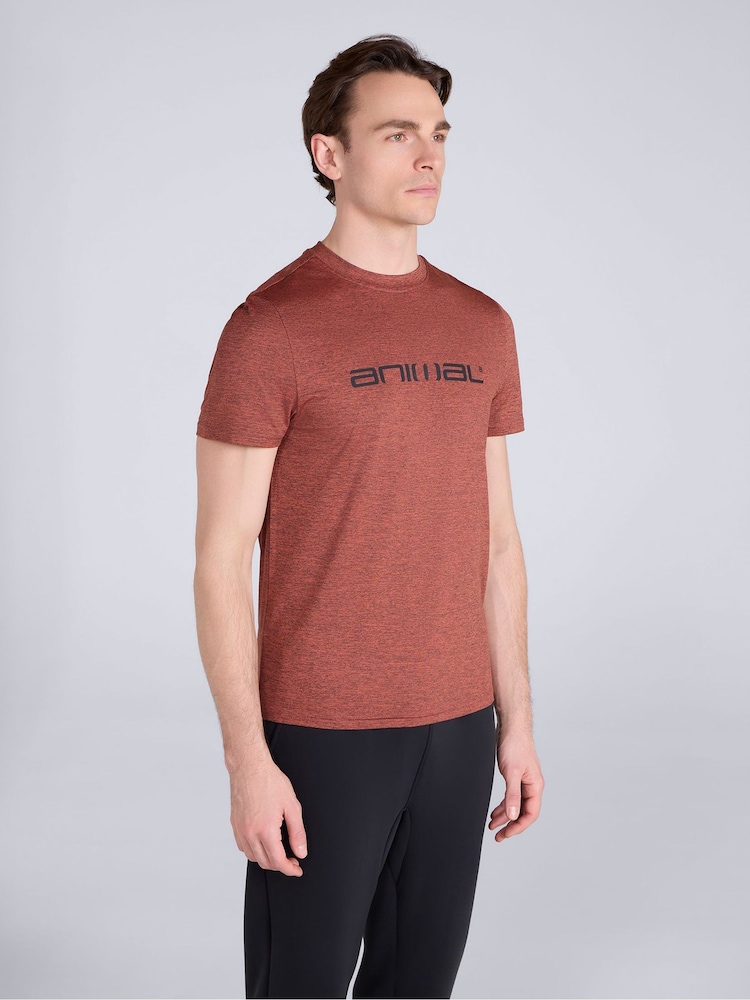 Animal Orange Latero Quick Drying Logo Swim T-Shirt - Image 1 of 8