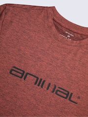 Animal Orange Latero Quick Drying Logo Swim T-Shirt - Image 8 of 8