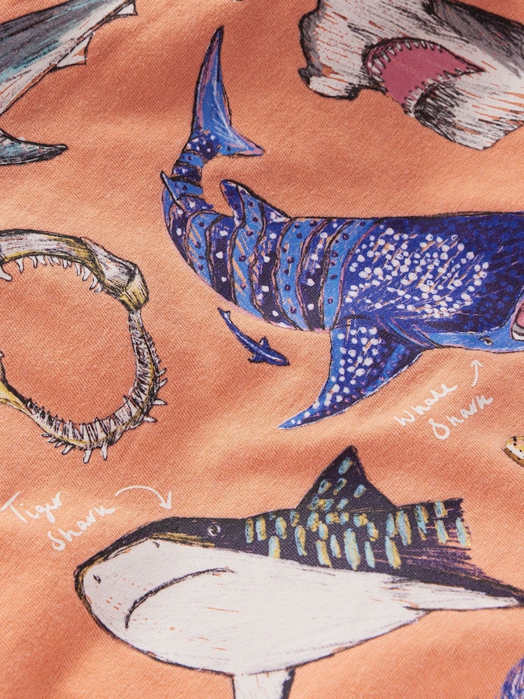 Boden Vintage Wash Graphic T-Shirt - Bild 3 von 3