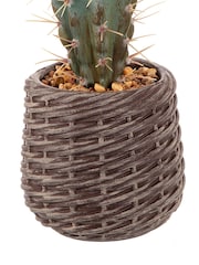 Premier Decorations Ltd None 52cm Artificial cactus in EVA Basket - Image 2 of 2