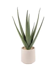 Premier Decorations Ltd None 82cm Artificial Aloe Vera In Plastic Pot 0 - Image 1 of 1