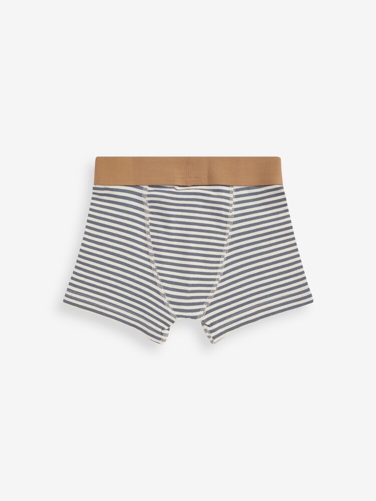 Mineral Dinosaur Trunks 10 Pack (1.5-10yrs) - Image 12 of 13