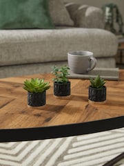 Set of 3 Green Artificial Bronx Succulents - Image 1 of 2