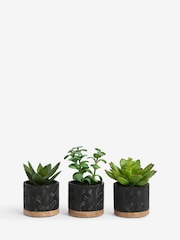 Set of 3 Green Artificial Bronx Succulents - Image 2 of 2