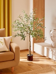 Green Artificial Light Up Olive Tree - Image 1 of 4