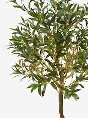 Green Artificial Light Up Olive Tree - Image 4 of 4