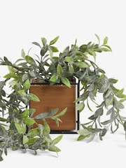Green Artificial Bronx Trailing Plant - Image 2 of 3