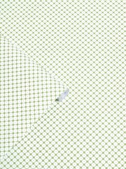 Laura Ashley Leaf Green Wickerwork 10M Wallpaper - Image 4 of 5