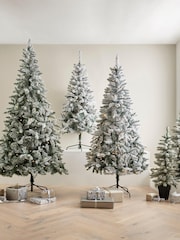 White Lit Snowy 6ft Lit Christmas Tree - Image 8 of 8