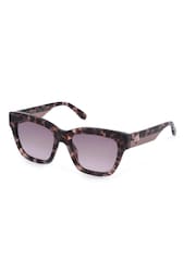 Mulberry Brown English Fashion Brand Sunglasses - Image 1 of 1
