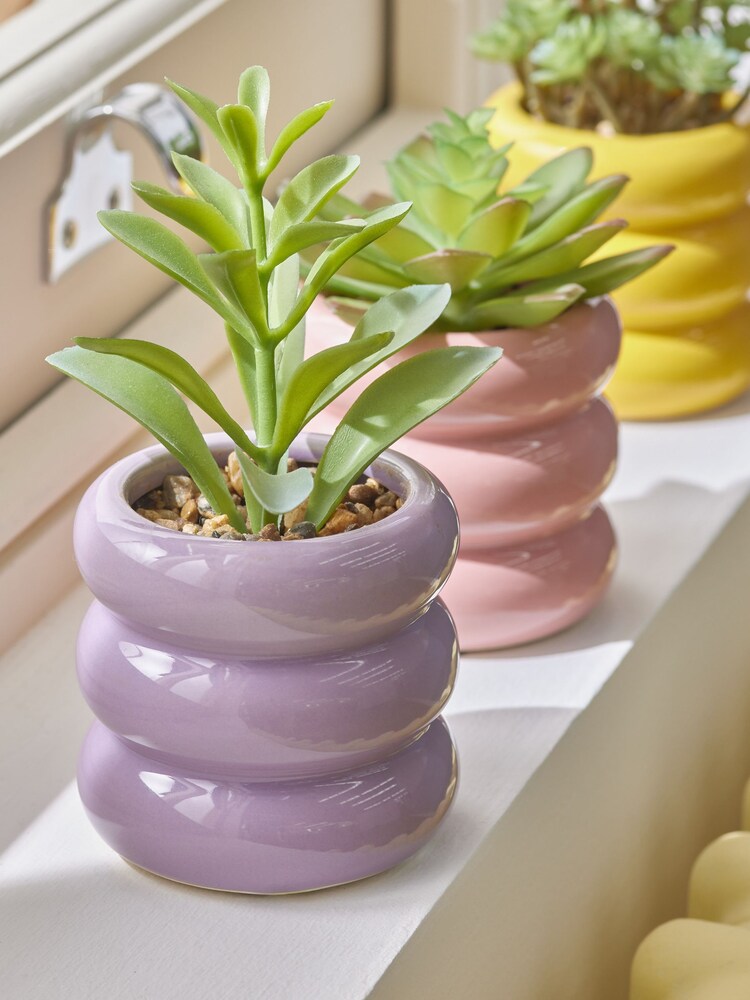 Set of 3 Green Artificial Succulents In Bright Pots - Image 2 of 5 Set of 3 Green Artificial Succulents In Bright Pots - Image 2 of 5