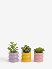 Set of 3 Green Artificial Succulents In Bright Pots - Image 3 of 5