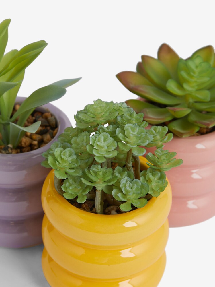 Set of 3 Green Artificial Succulents In Bright Pots - Image 5 of 5