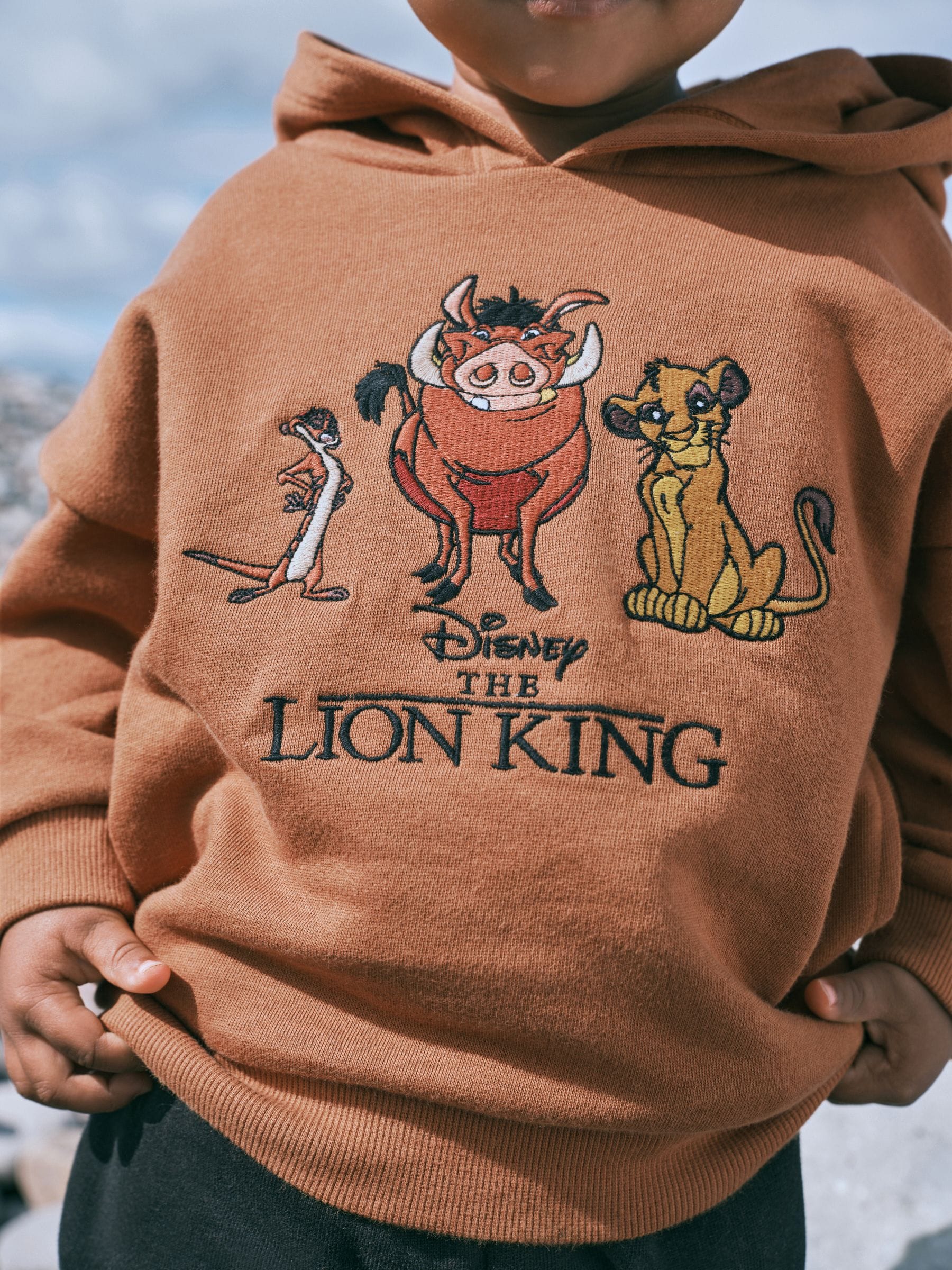 The lion king hoodie sale