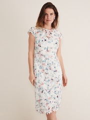 Phase Eight Cream Franky Floral Lace Dress - Image 1 of 6