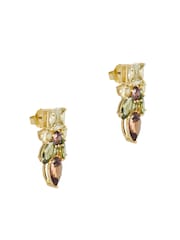 Green And Mocha Gold Tone - CERENE Statement Crystal Drop Earrings - תמונה 5 מתוך 6