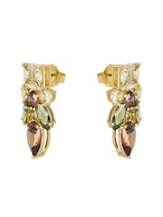 Green And Mocha Gold Tone - CERENE Statement Crystal Drop Earrings - תמונה 6 מתוך 6