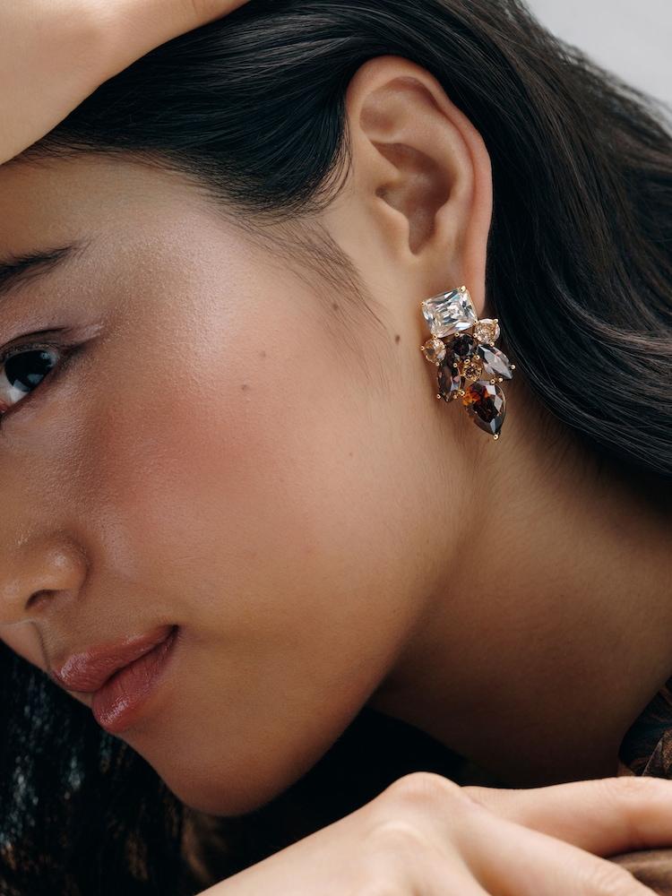 Mocha Brown Gold Tone - CERENE Statement Crystal Drop Earrings - תמונה 1 מתוך 4