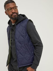 FatFace Blue Hascombe Gilet - Image 1 of 5