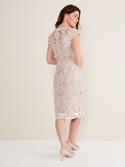 Phase Eight Pink Francis Lace Dress - Image 2 of 6