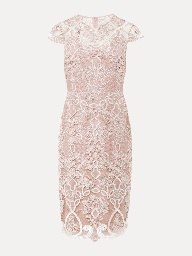 Phase Eight Pink Francis Lace Dress - Image 6 of 6