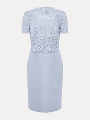 Phase Eight Blue Isabella Lace Dress - Image 7 of 7