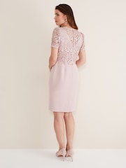 Phase Eight Pink Isabella Lace Dress - Image 2 of 7