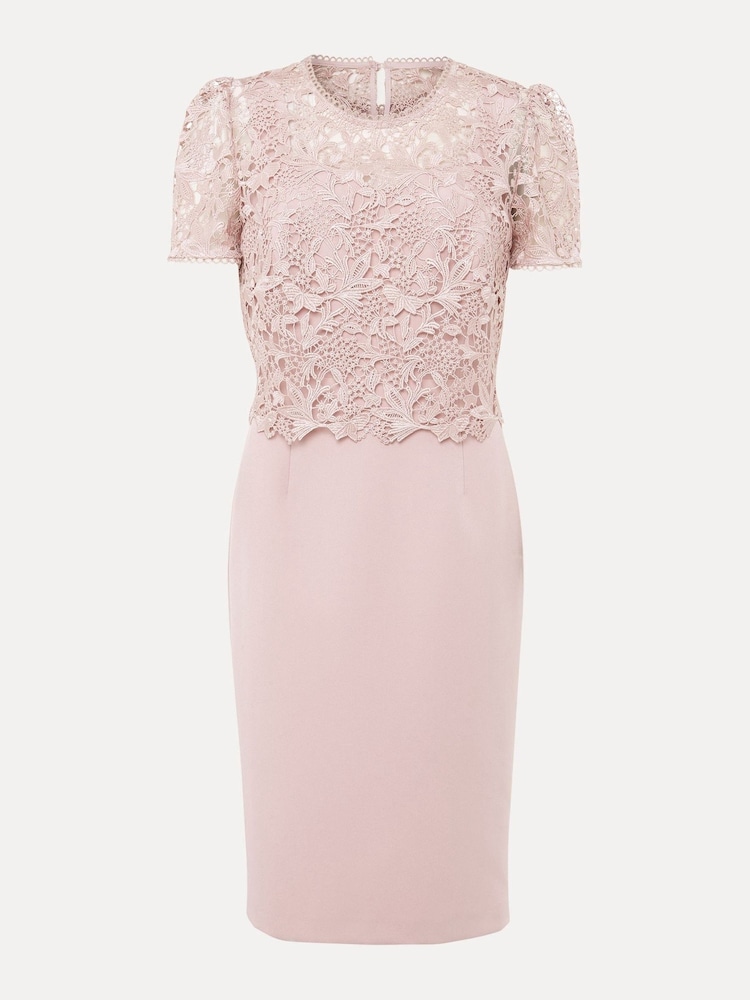 Phase Eight Pink Isabella Lace Dress - Image 7 of 7