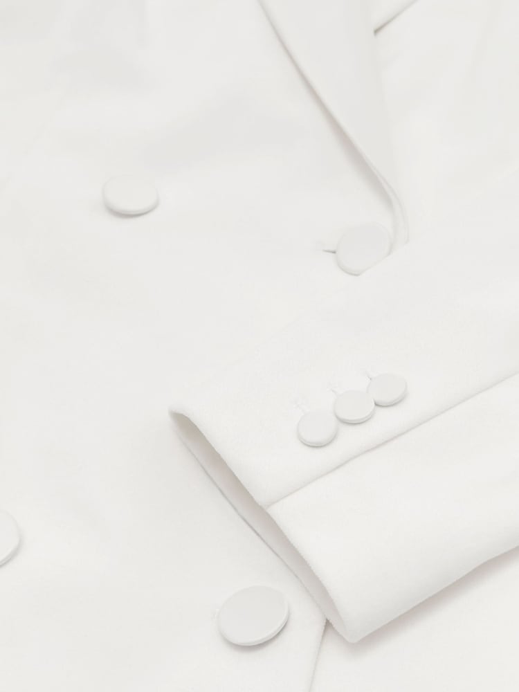 Reiss Ivory Annie Velvet Peak-Lapel Tuxedo Mini Dress - Image 10 of 10 Reiss Ivory Annie Velvet Peak-Lapel Tuxedo Mini Dress - Image 10 of 10
