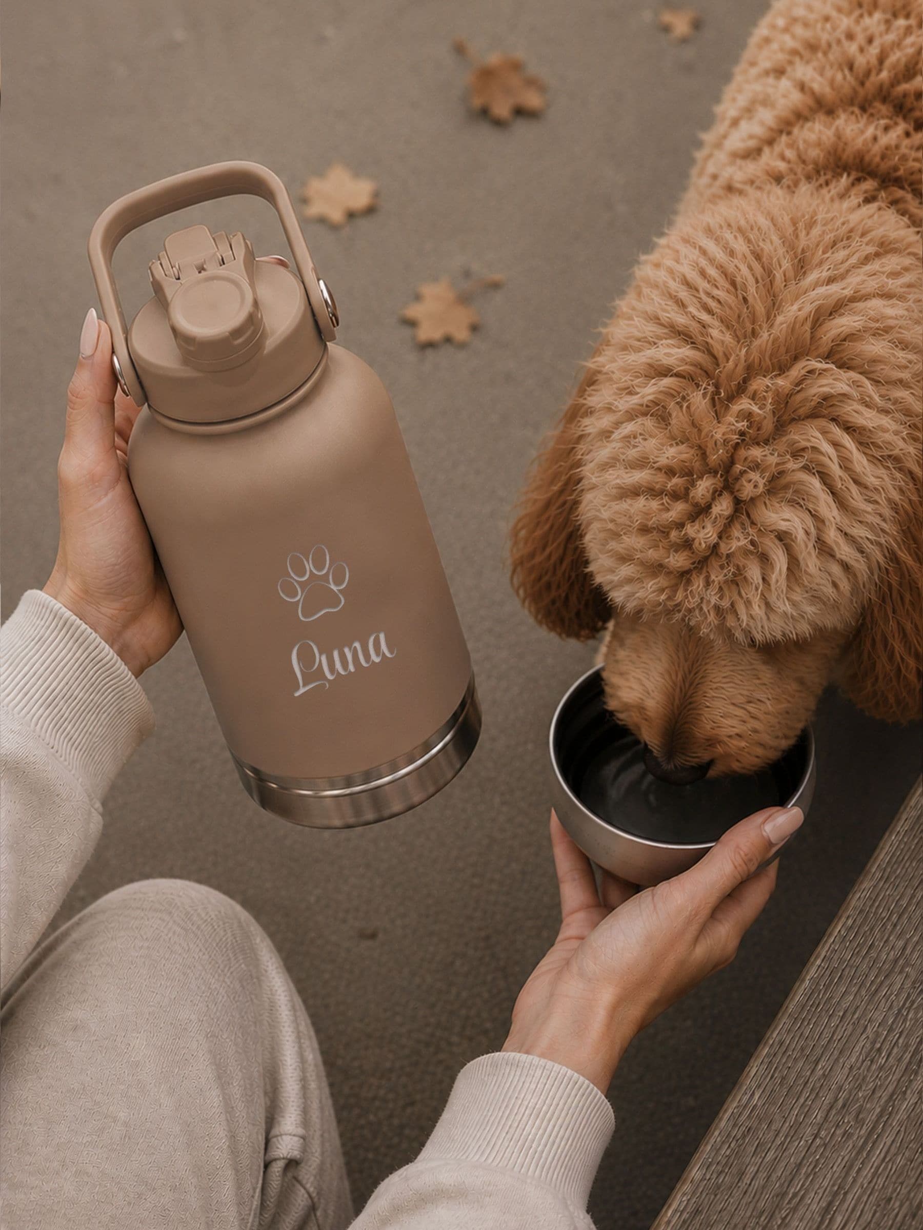 Buy Personalised Dogs Travel Bottle 3-in-1 by Loveabode from the