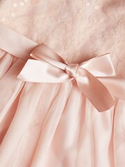 Monsoon Pink Baby Truth Sequin Lace Dress - Image 3 of 3
