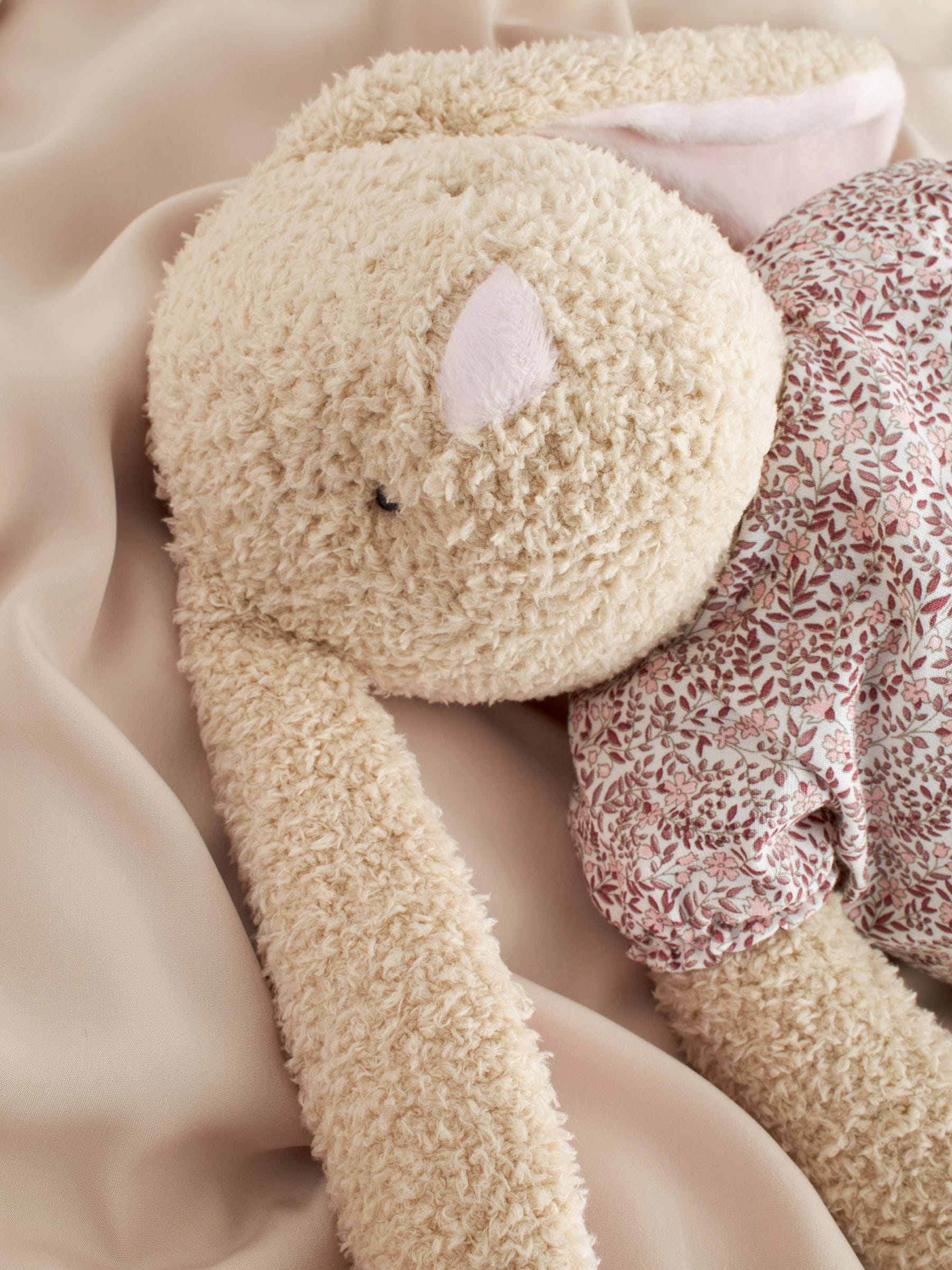 Next bunny teddy 2025