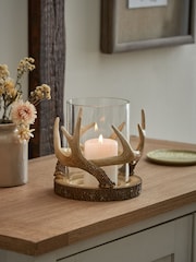 Natural Antler Hurricane Candle Holder - Image 1 of 5