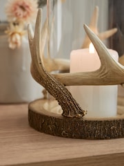 Natural Antler Hurricane Candle Holder - Image 3 of 5