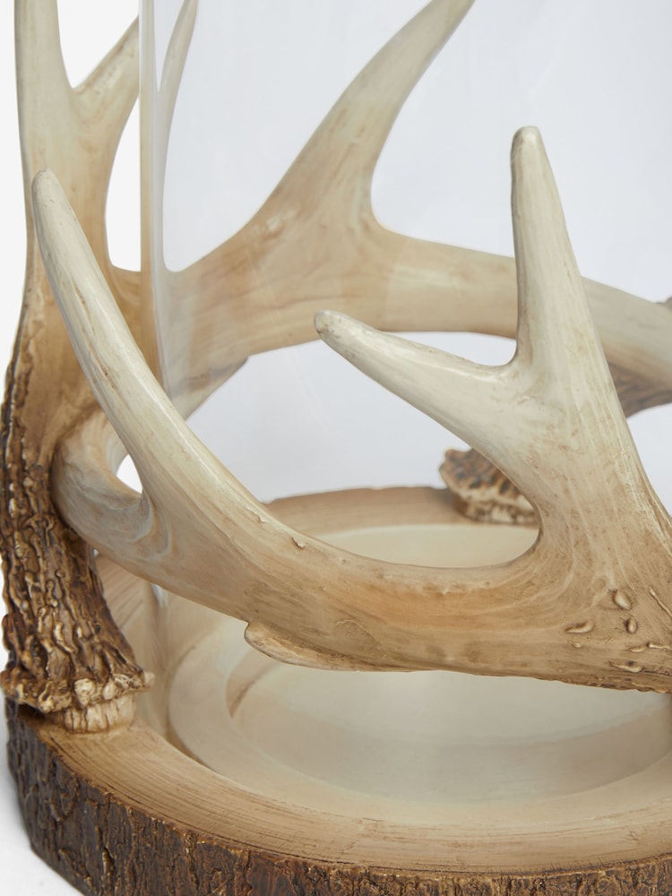 Natural Antler Hurricane Candle Holder - Image 5 of 5