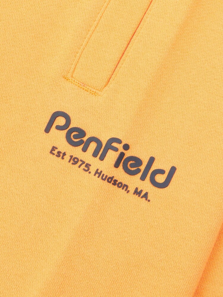 Желтый - Penfield 100% Cotton Hudson Script Sweat Shorts - Изображение 5 из 5
