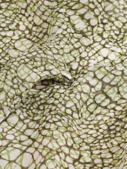 Green Snake Print V-Neck Long Sleeve Blouse - Image 5 of 5