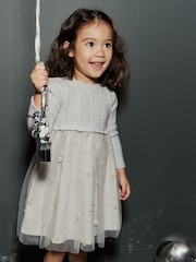 Silver 2-in-1 Jumper & Embroidered Tulle Skirt Dress (3mths-7yrs) - Image 1 of 8