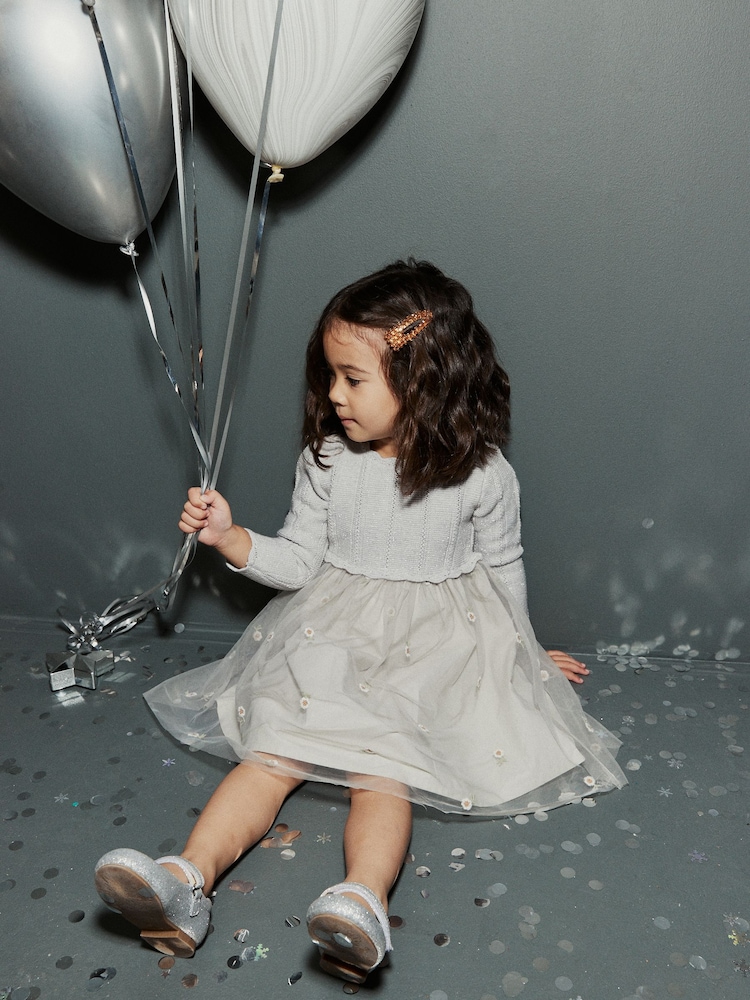 Silver 2-in-1 Jumper & Embroidered Tulle Skirt Dress (3mths-7yrs) - Image 2 of 8