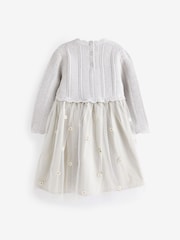Silver 2-in-1 Jumper & Embroidered Tulle Skirt Dress (3mths-7yrs) - Image 7 of 8